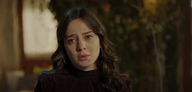 Турецкий сериал Мария и Мустафа 14 серия