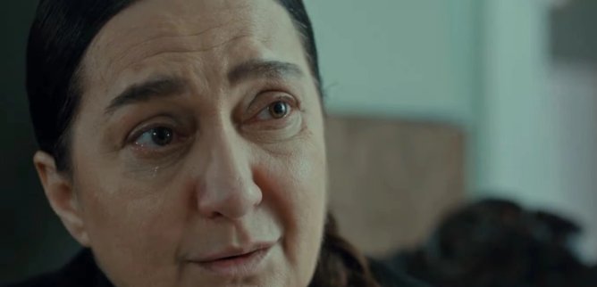 Турецкий сериал Задира 28 серия