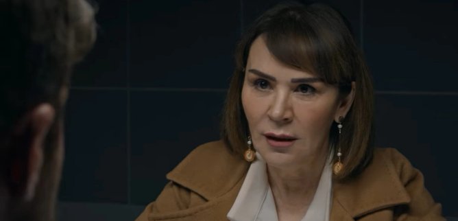 Турецкий сериал Яркое пламя 24 серия
