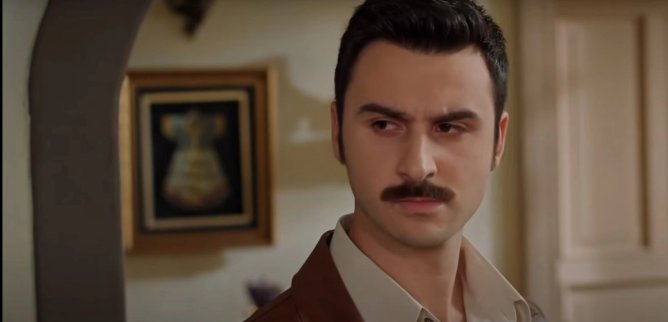 Турецкий сериал Фиговое дерево 131 серия