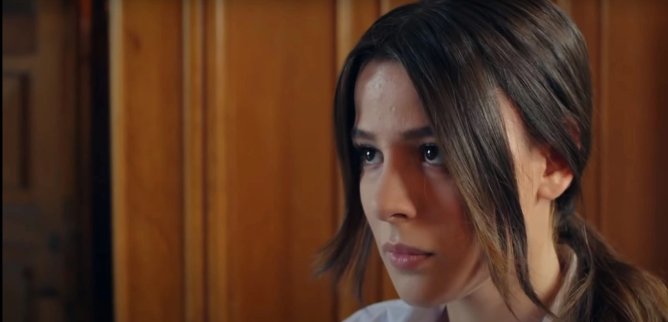 Турецкий сериал Фиговое дерево 136 серия