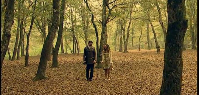 Турецкий сериал Узоры из роз 41 серия