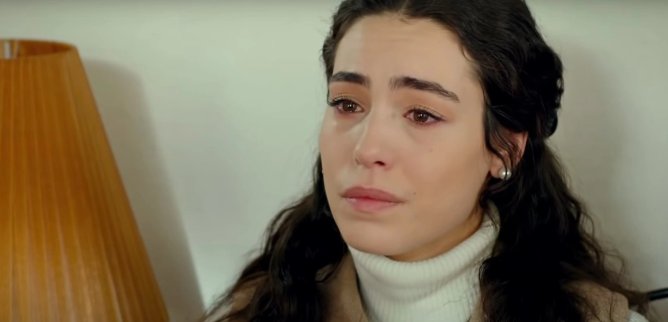 Турецкий сериал Фиговое дерево 38 серия