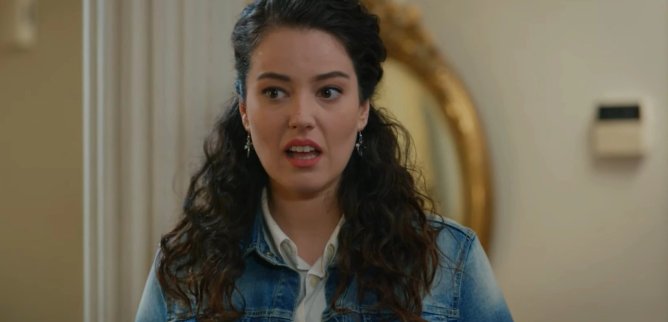 Турецкий сериал Семейное дело 13 серия