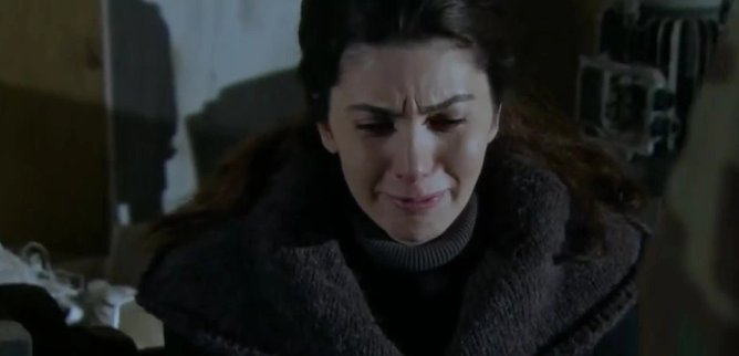 Турецкий сериал Голубые бабочки 22 серия