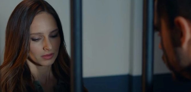 Турецкий сериал Одинокий волк 26 серия