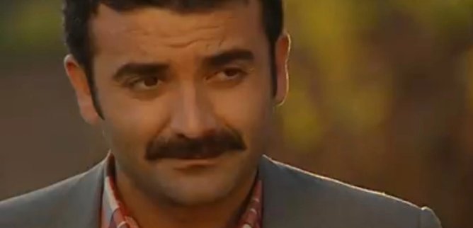 Турецкий сериал Ягелевое дерево 87 серия