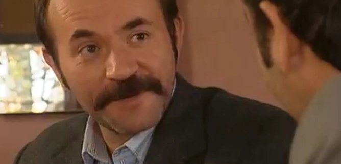 Турецкий сериал Ягелевое дерево 88 серия