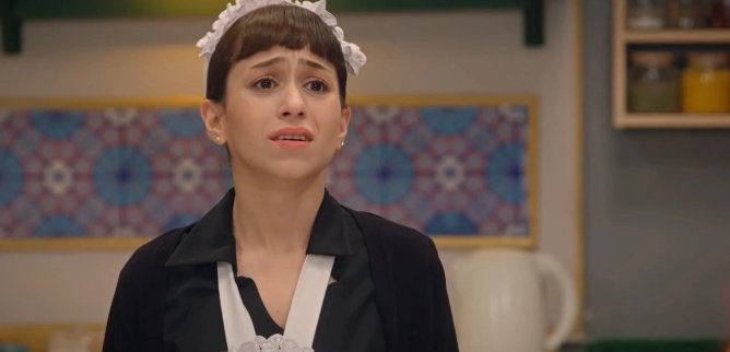 Турецкий сериал Увы, господин Рамазан 15 серия