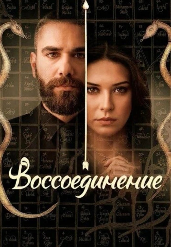 Воссоединение постер