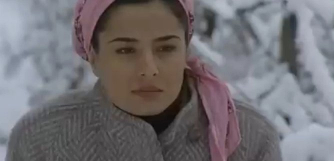 Турецкий сериал Ягелевое дерево 15 серия