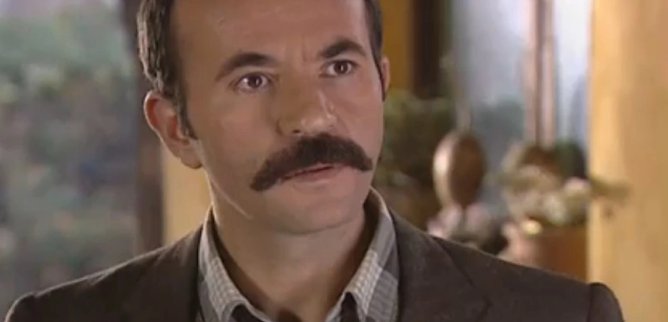 Турецкий сериал Ягелевое дерево 17 серия