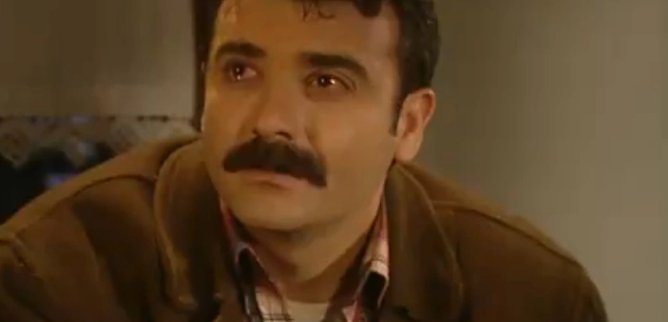 Турецкий сериал Ягелевое дерево 19 серия