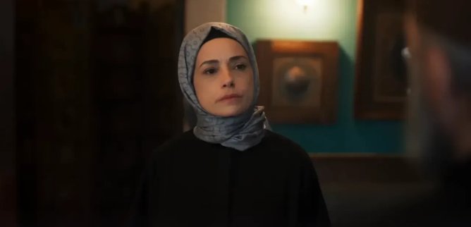 Турецкий сериал Красные бутоны 43 серия