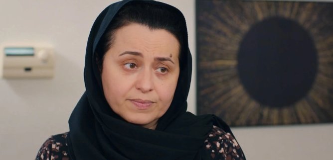 Турецкий сериал Любовь и надежда 173 серия