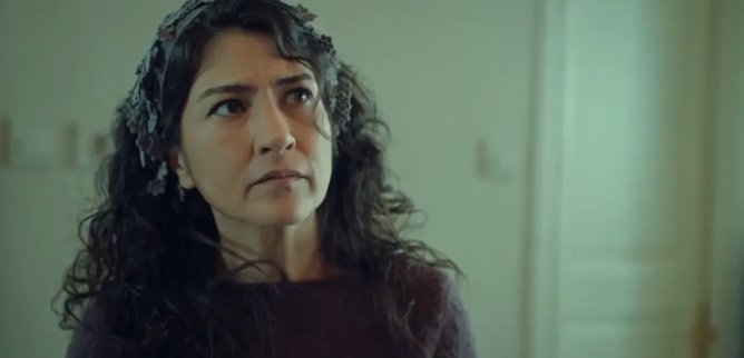 Турецкий сериал Невеста из Стамбула / Стамбульская Невеста 31 серия