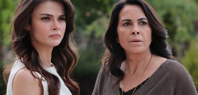 Турецкий сериал Далекий город 25 серия