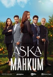 Заключенный любви