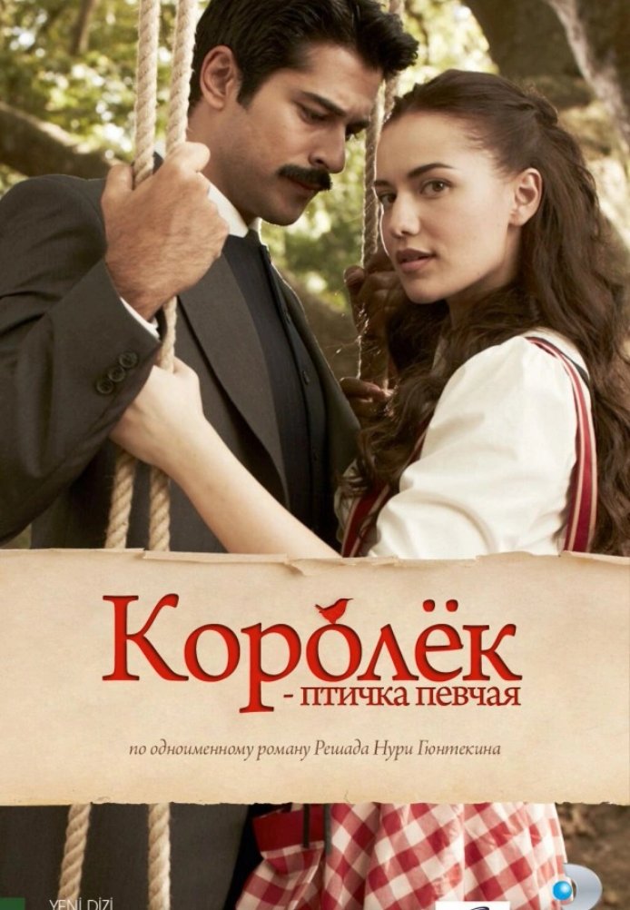 Королек – птичка певчая (2013 - 2014) постер
