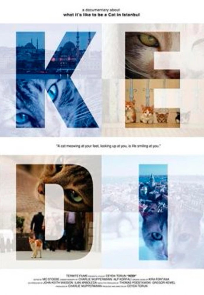 Постер фильма «Город кошек»
