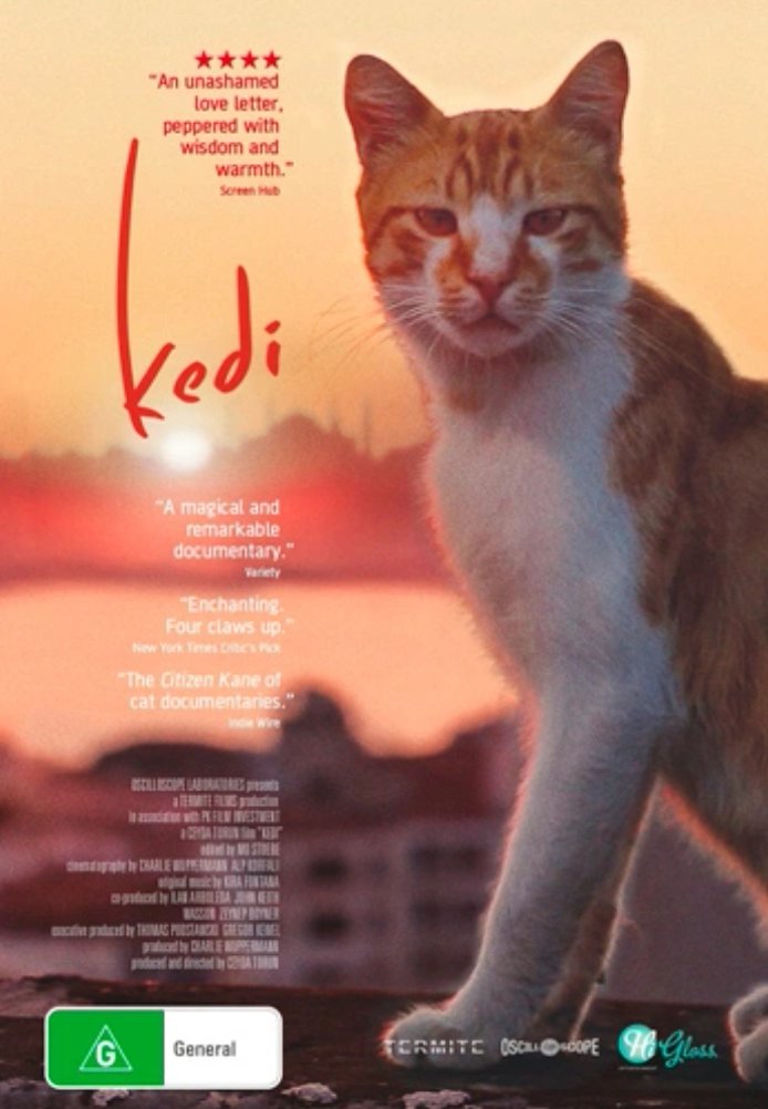 Постер фильма «Город кошек»