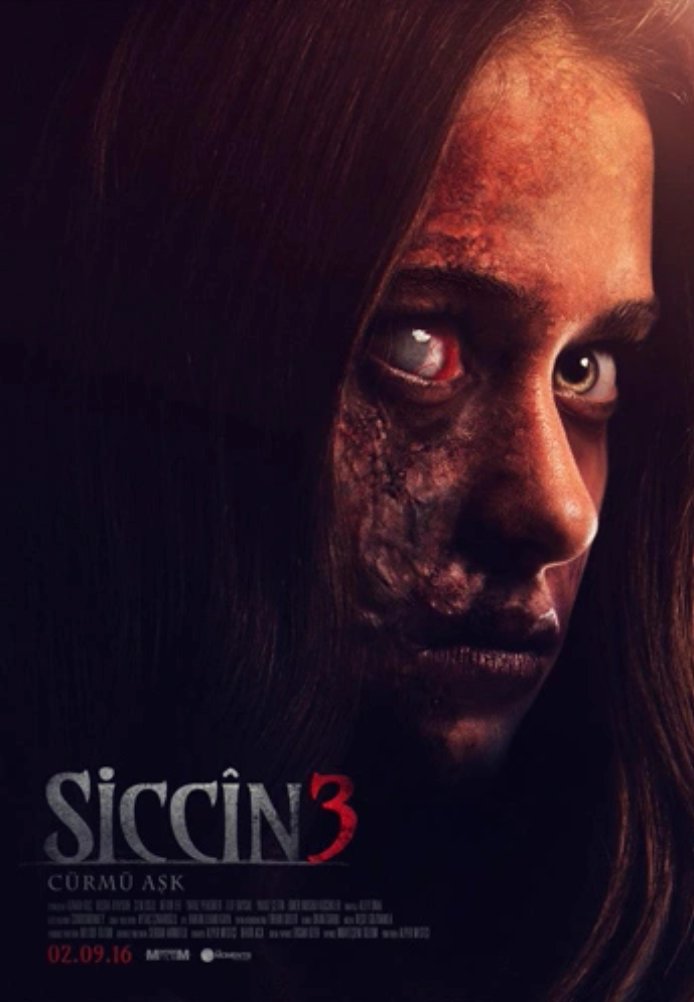 Постер фильма «Сиджин 3»