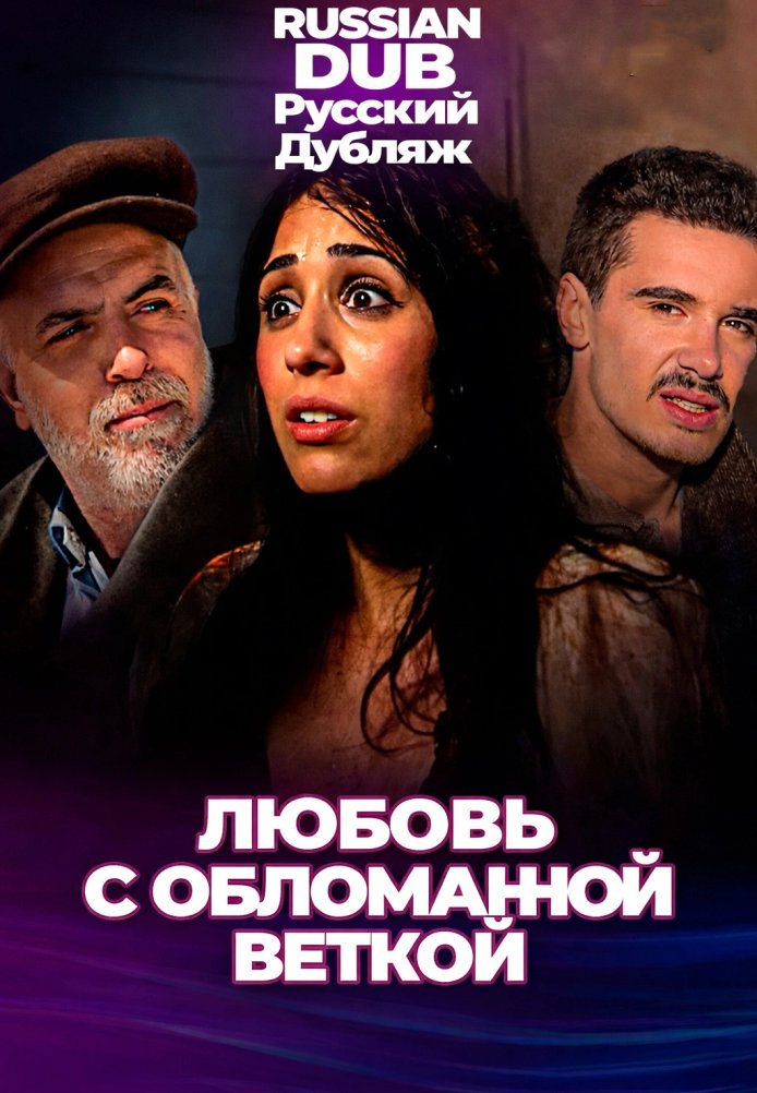 Постер фильма «Любовь с обломанной веткой»