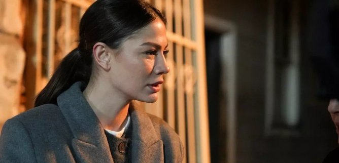 Турецкий сериал Мечта Эшрефа 29 серия