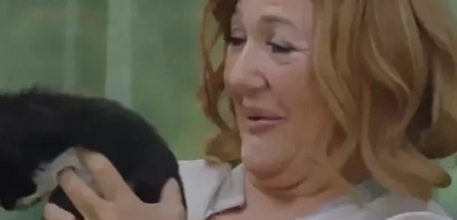 Турецкий сериал Семья нового поколения 42 серия