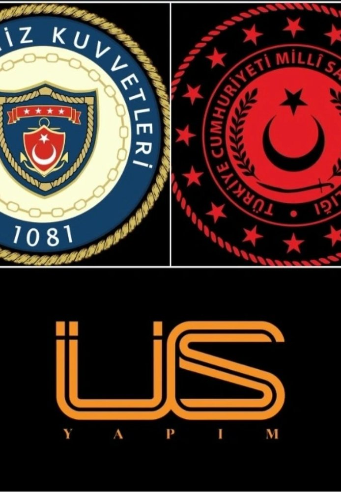 Операция Алеста постер