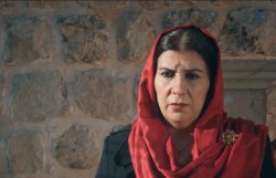 Турецкий сериал Зерхун 71 серия