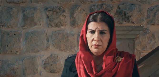 Турецкий сериал Зерхун 71 серия