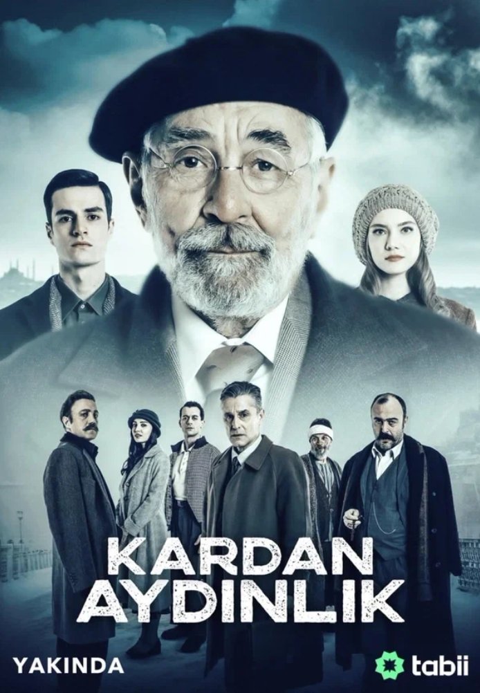 Снежный свет постер