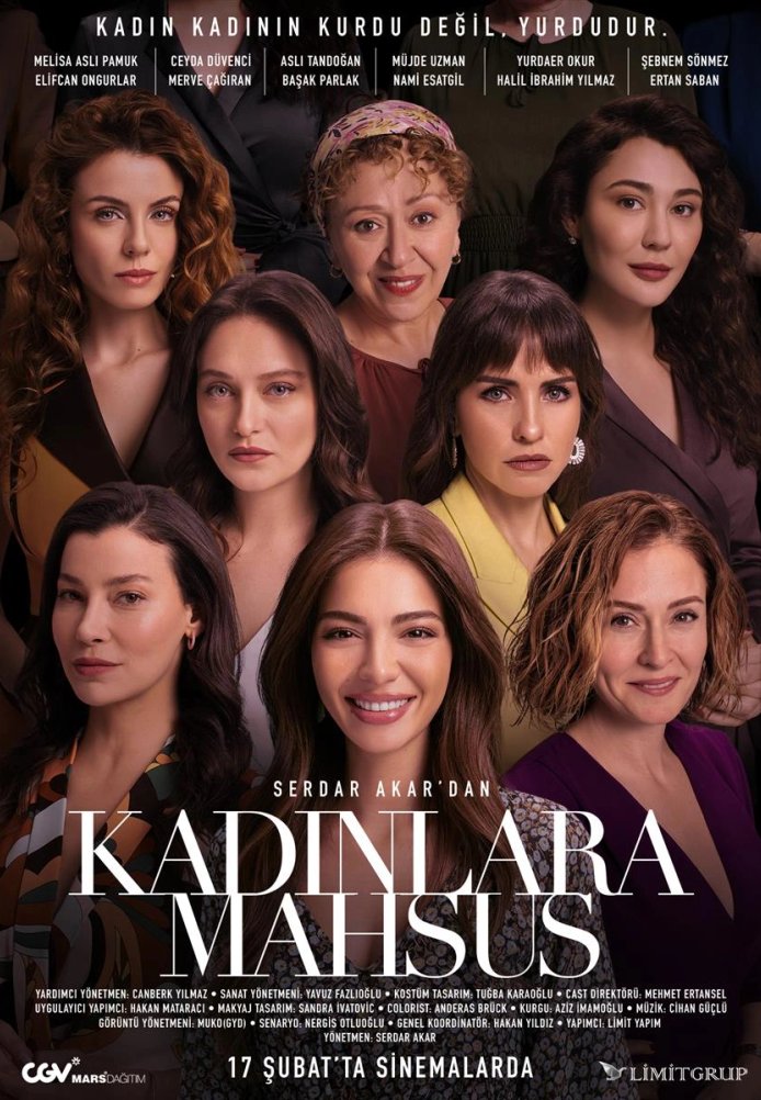 Постер фильма «Посвящается женщинам»