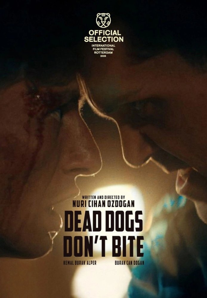 Постер фильма «Мёртвые собаки не кусают»