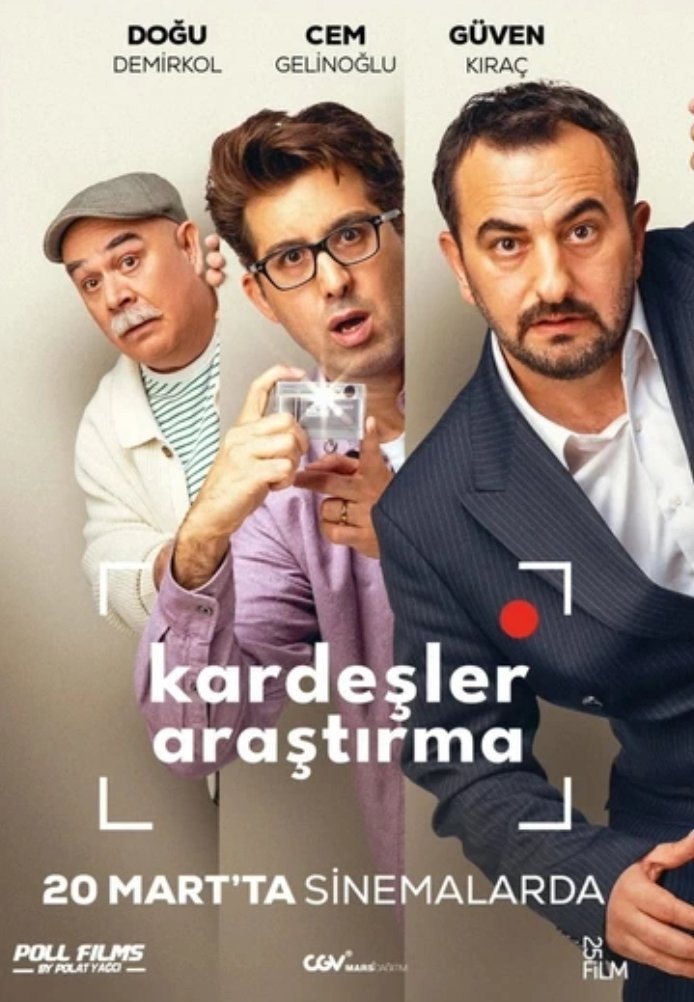 Постер фильма «Исследования братьев и сестер»