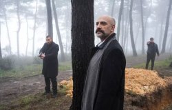 Турецкий сериал Мечта Эшрефа 40 серия