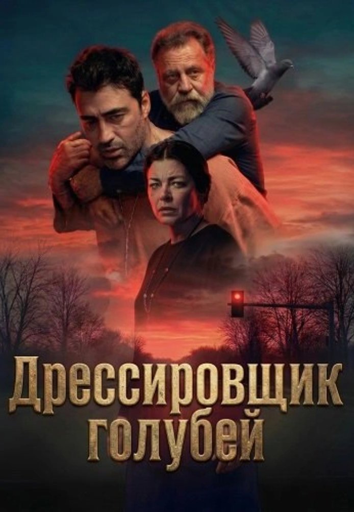 Постер фильма «Дрессировщик голубей»