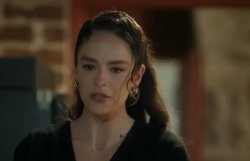 Турецкий сериал Дети рая 33 серия