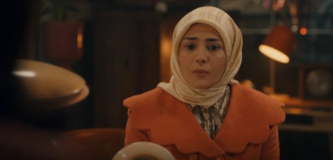 Турецкий сериал Шуле 7 серия