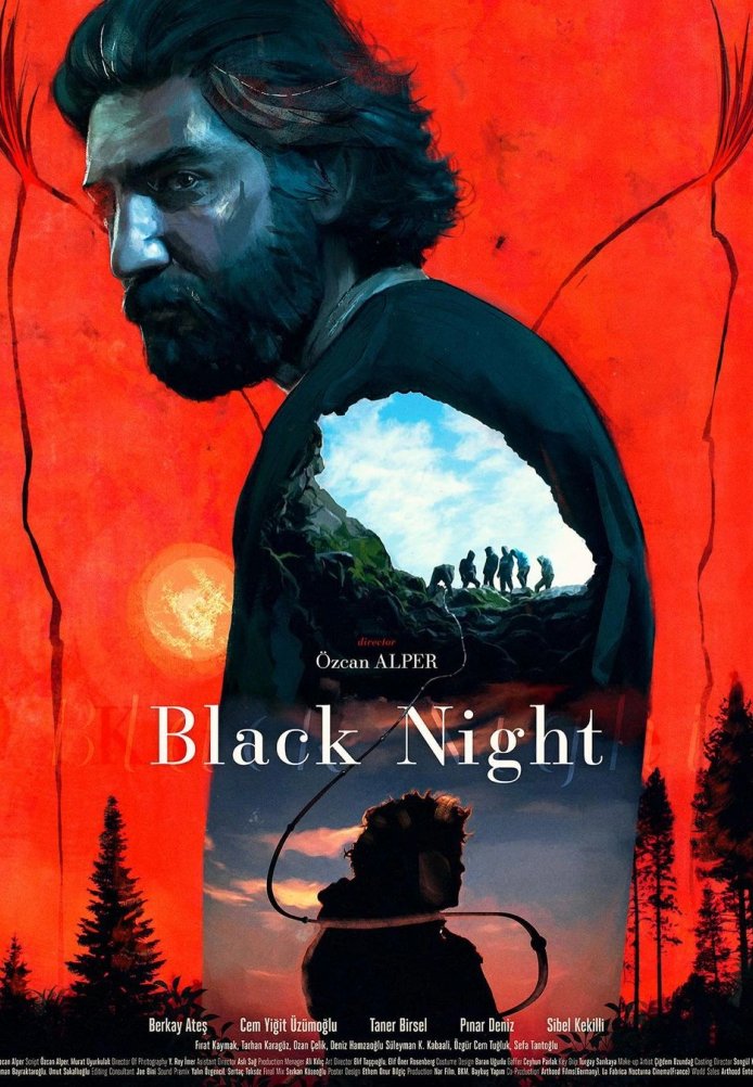 Постер фильма «Тёмная ночь»
