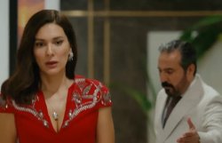 Турецкий сериал Семья - это испытание 21 серия