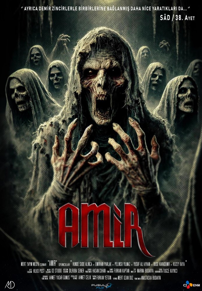 Постер фильма «Амир»
