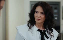Турецкий сериал Невеста 492 серия