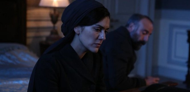 Турецкий сериал Ты моя Родина 8 серия