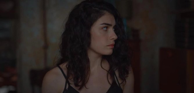 Турецкий сериал Защитник 20 серия
