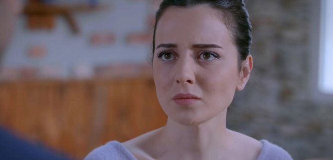 Турецкий сериал Раненые птицы 148 серия