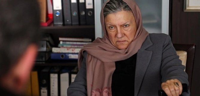 Турецкий сериал Шторм ласточки 2 серия